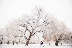 Colorado Springs Maternity Portraits